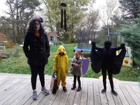 Mad Hatter, Pikachu, Snail and Mothman